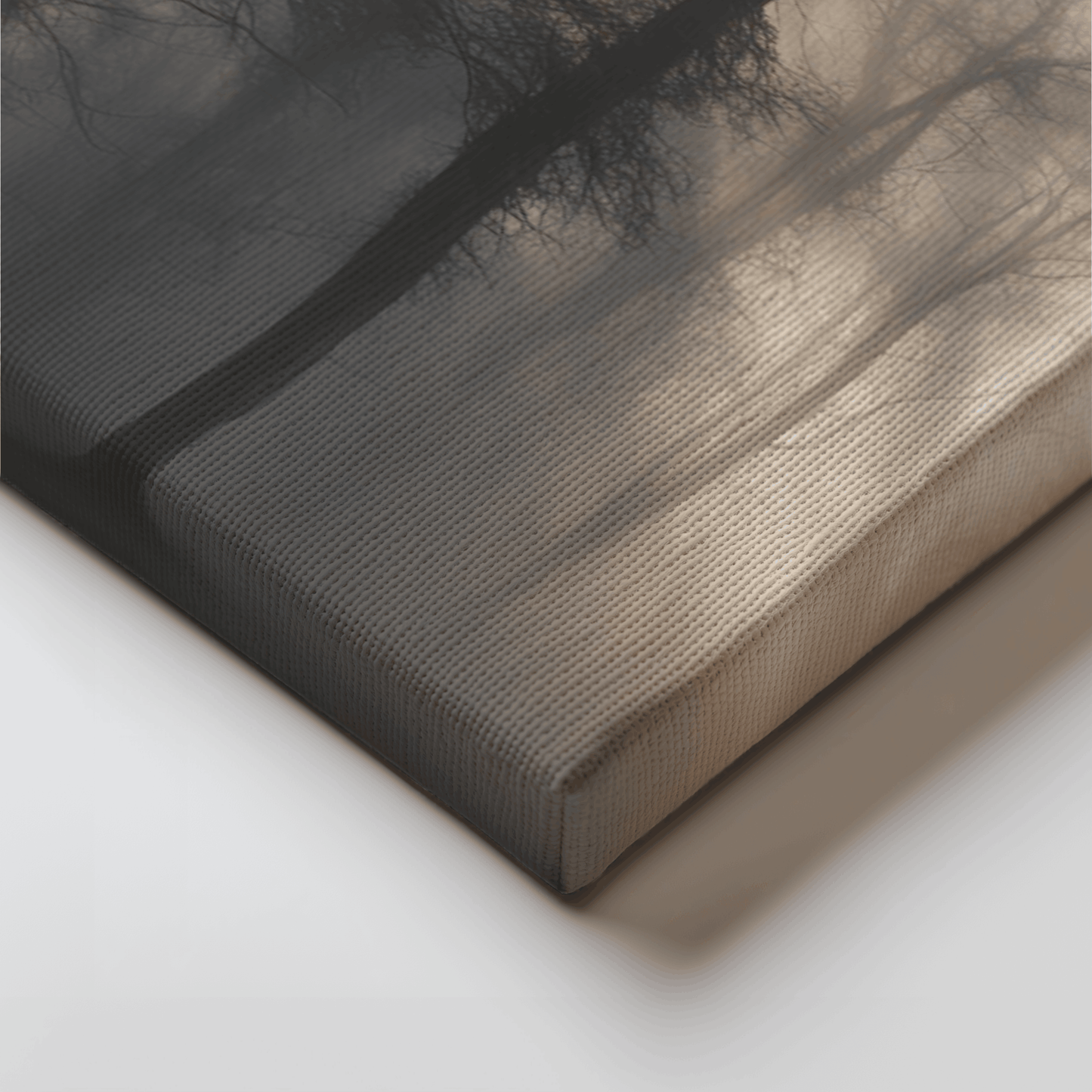Trees & Fog