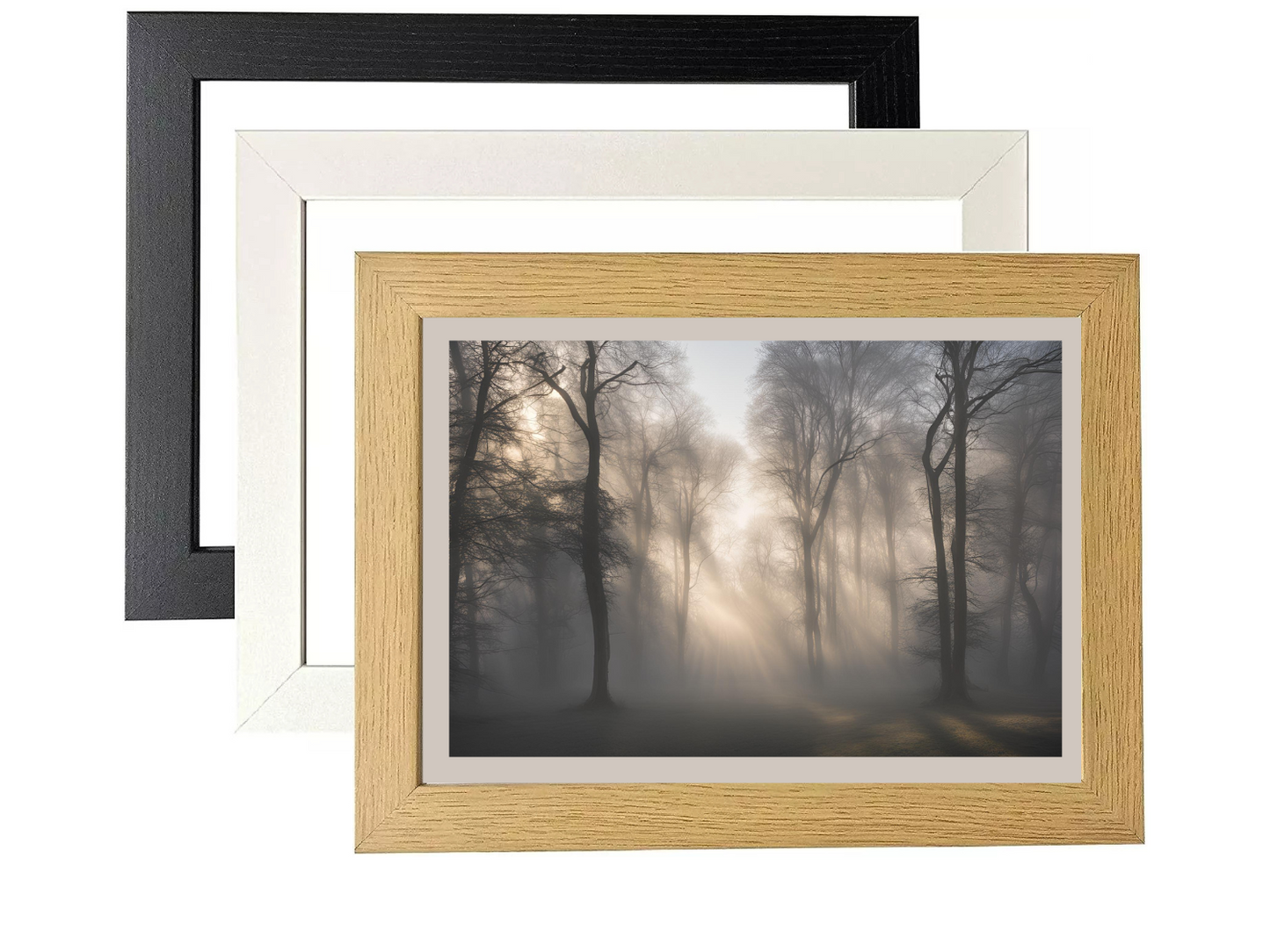 Trees & Fog